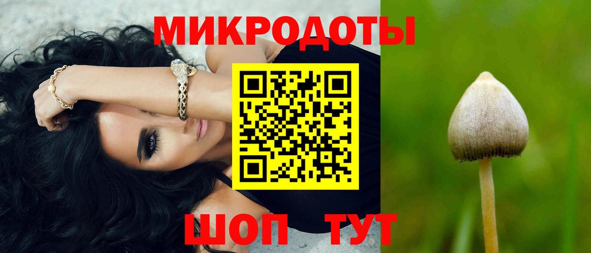 Псилоцибиновые грибы MAGIC MUSHROOMS Кириши