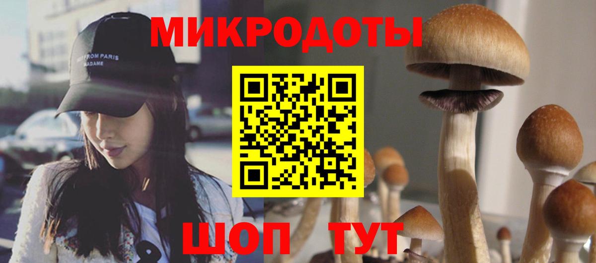 Псилоцибиновые грибы ЛСД  закладки  Псилоцибиновые грибы мухоморы  Кириши  Вход с VPN 